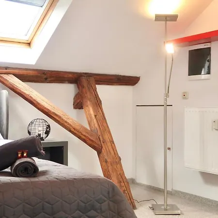 Gemuetliche, Zentrale Und Schoene Loft Im Dachgeschoss Апартаменты *
