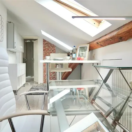 Gemuetliche, Zentrale Und Schoene Loft Im Dachgeschoss Апартаменты