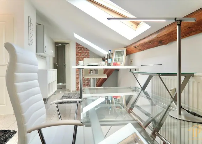 Gemuetliche, Zentrale Und Schoene Loft Im Dachgeschoss דירה